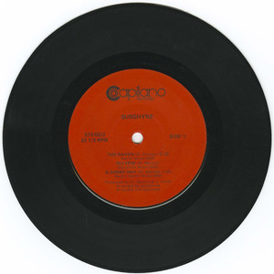 45 sunshyne the raven vinyl 01